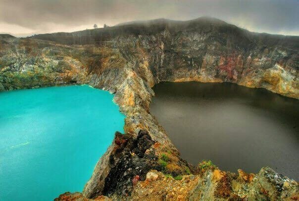 Savol #31450 rasmi