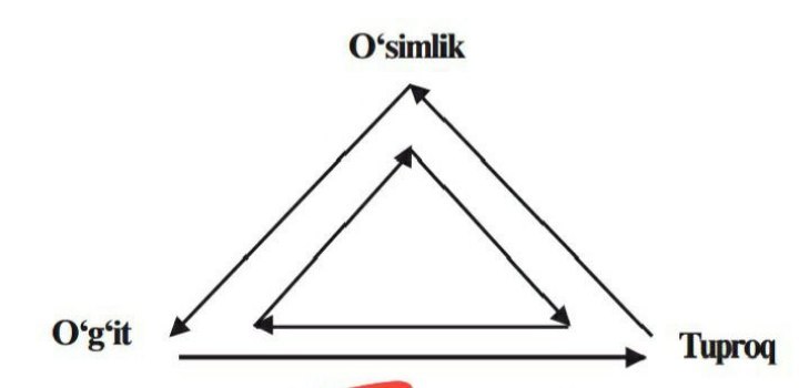Savol #29356 rasmi